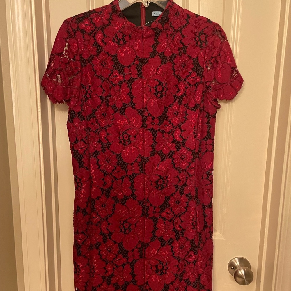 Antonio Melani size 4 lace dress